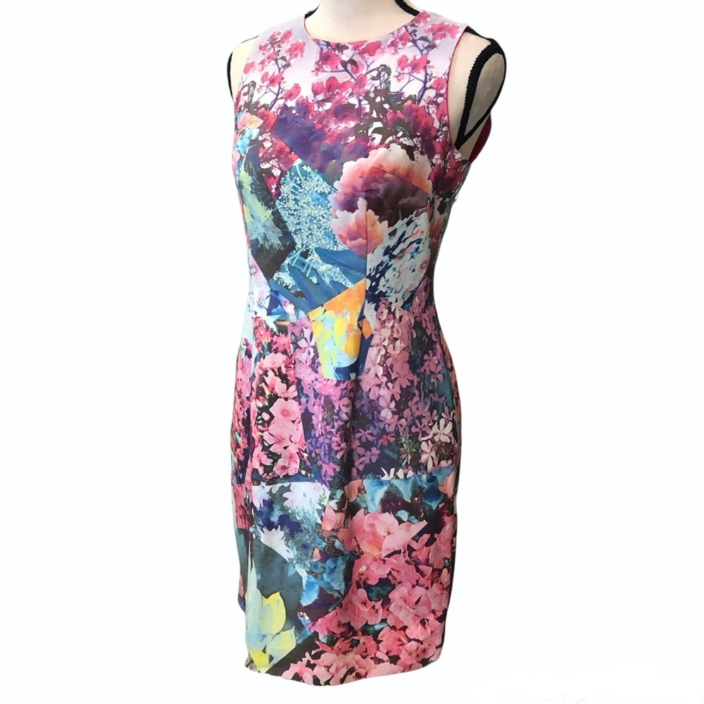 Cynthia Steefe Marlow Floral Sheath Dress Size 6 View 4